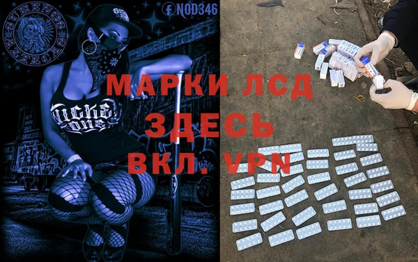 spice Арсеньев
