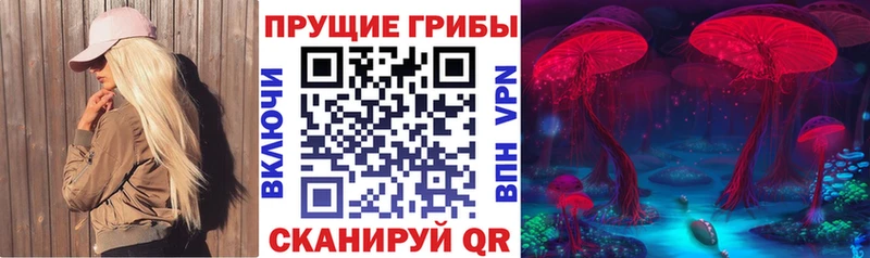 Галлюциногенные грибы MAGIC MUSHROOMS  Глазов 